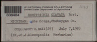 Image Associated With the Occurence
